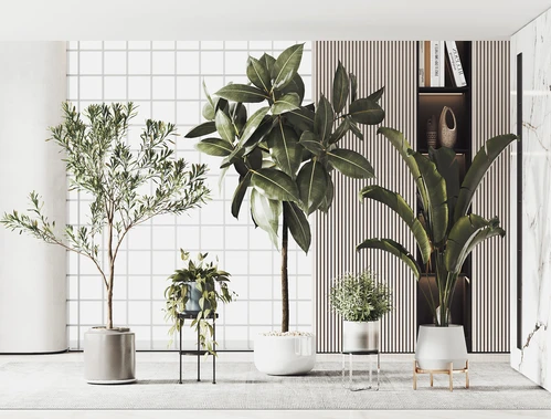 现代绿植摆件