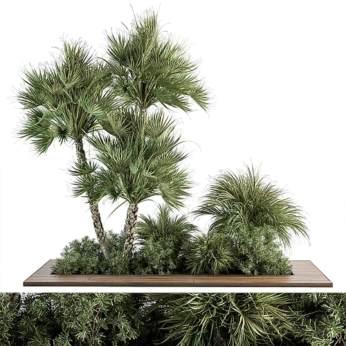 现代植物堆花圃