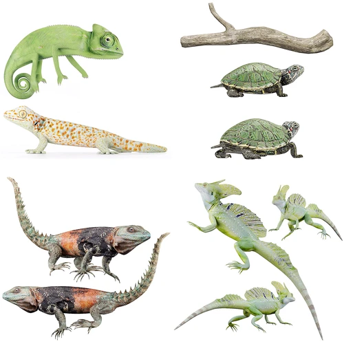 Reptile深林动物