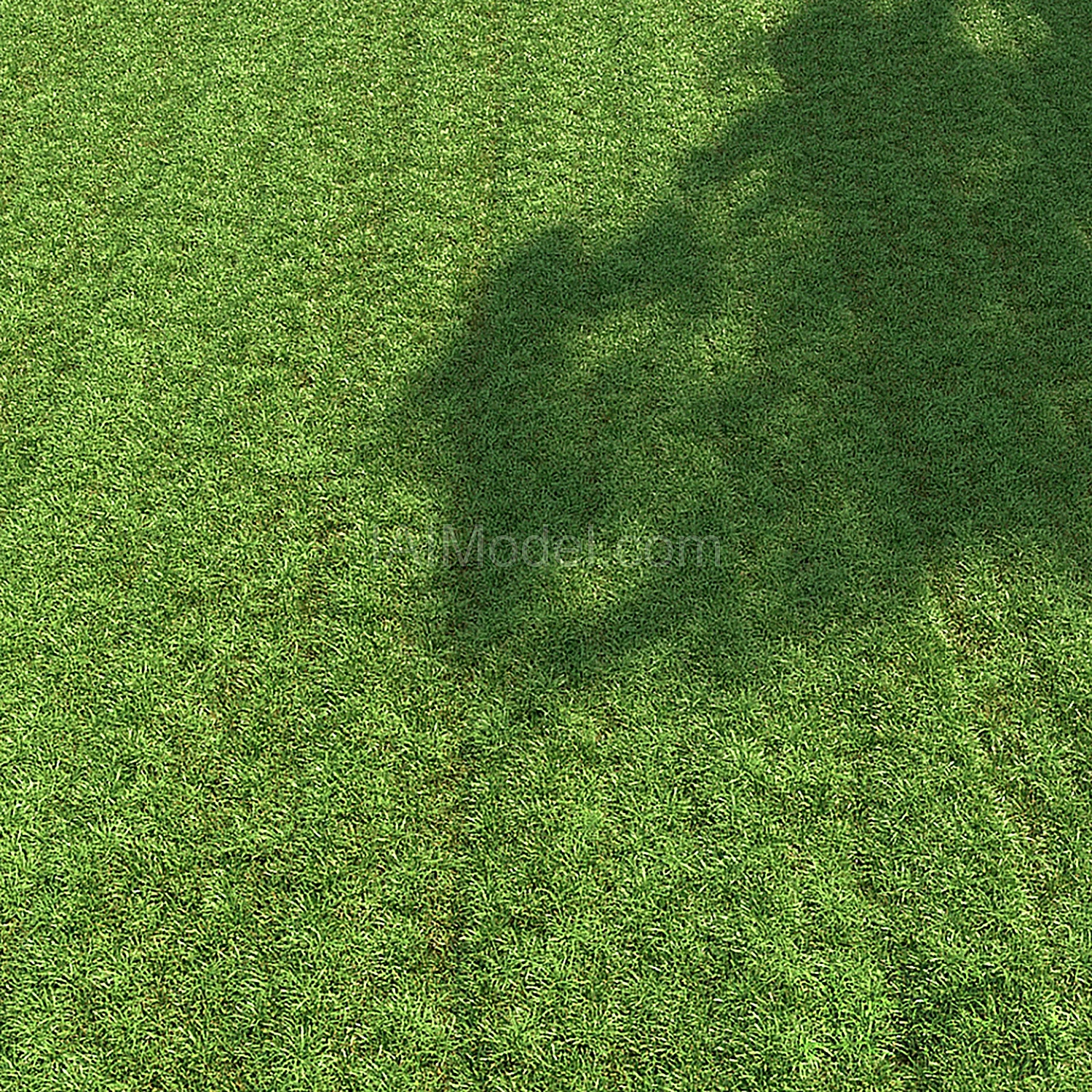 img3