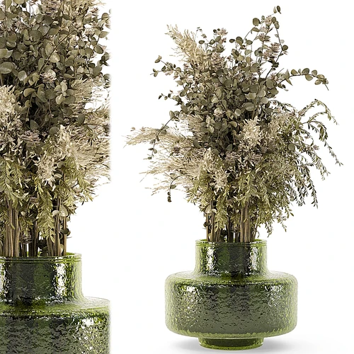 玻璃盆中的室内植物