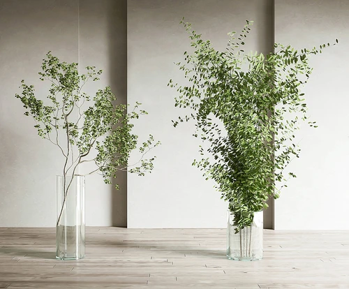 现代水生植物