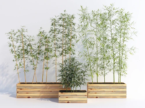 现代风格竹子