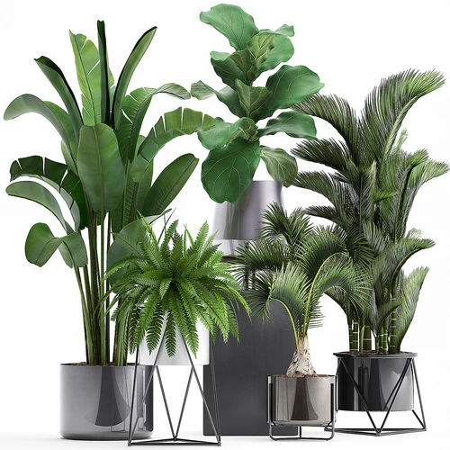 现代植物盆栽组合