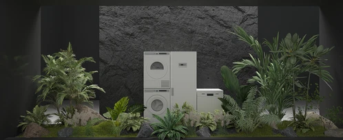 植物橱窗