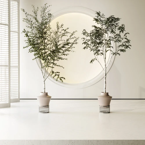 现代植物盆栽组合