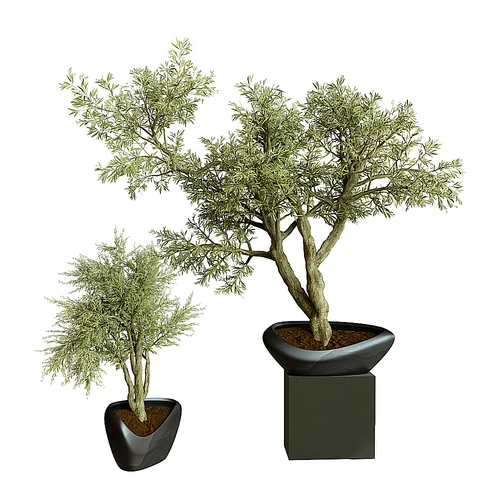 爱心型花盆绿植盆栽