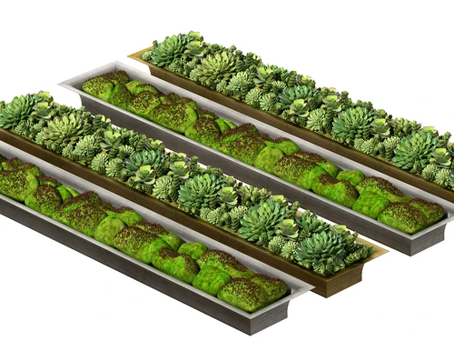 现代绿植菜地农作物
