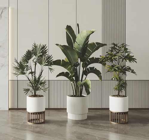 现代绿植盆栽