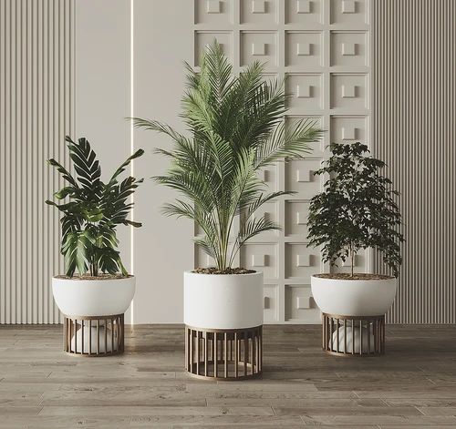 现代绿植盆栽