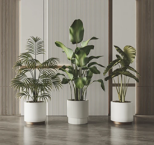 现代绿植盆栽