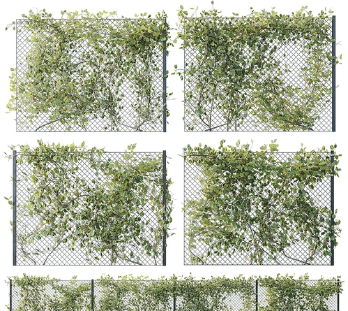 现代植物架