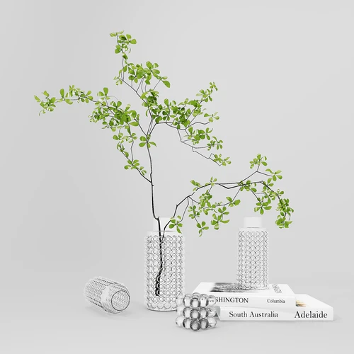 现代水生植物