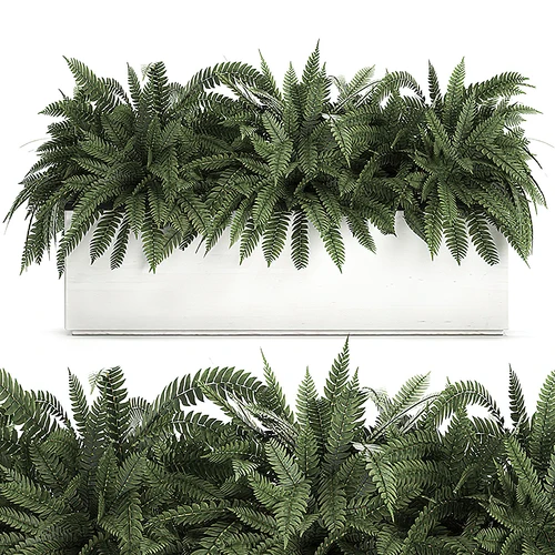 现代绿植花坛