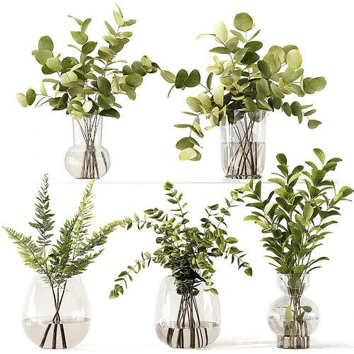 现代水生植物