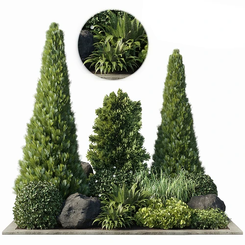 现代植物堆景观