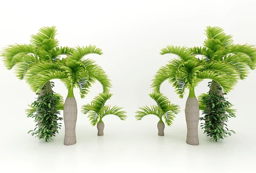 现代风格植物