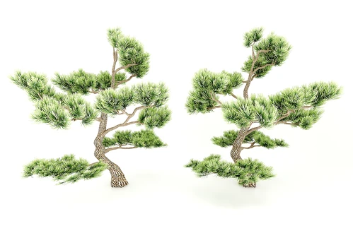 现代风格植物
