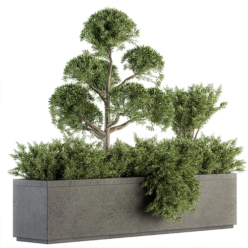 现代植物堆花圃