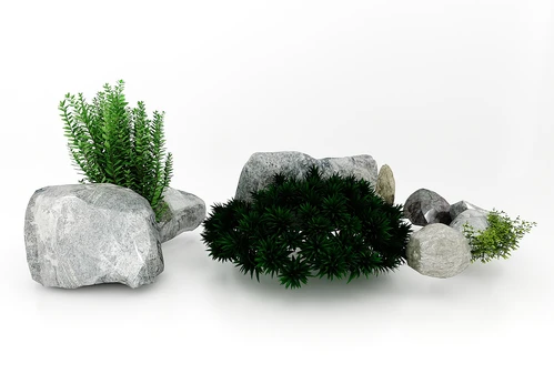 现代风格植物