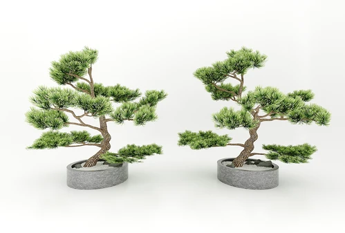 现代风格植物