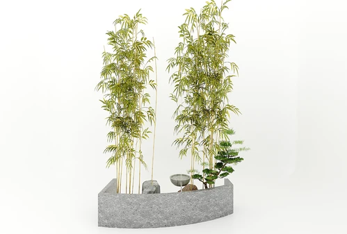 现代风格植物