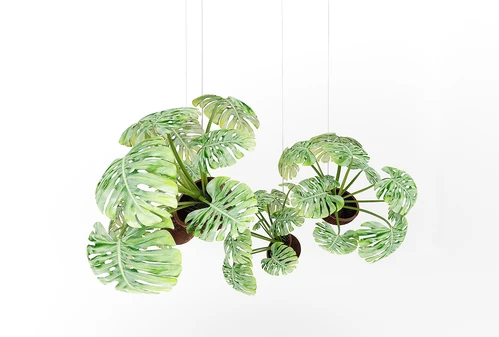 现代风格植物