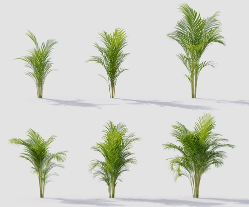 现代花草