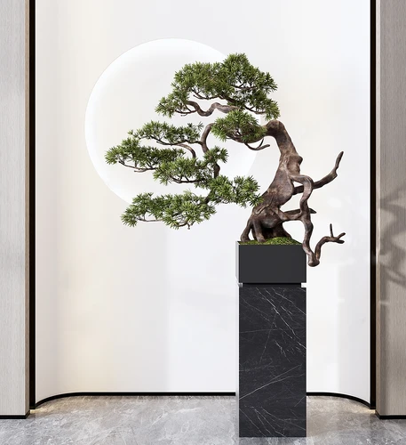 现代绿植盆栽