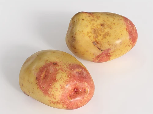 马铃薯