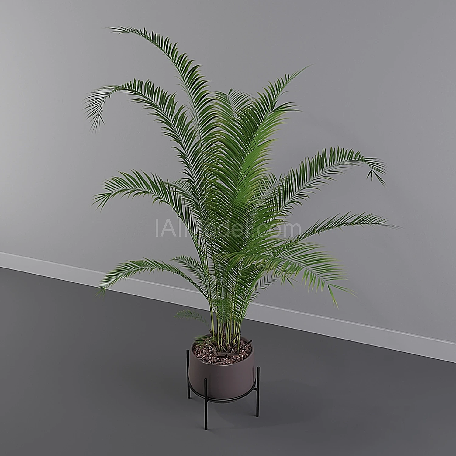 img3