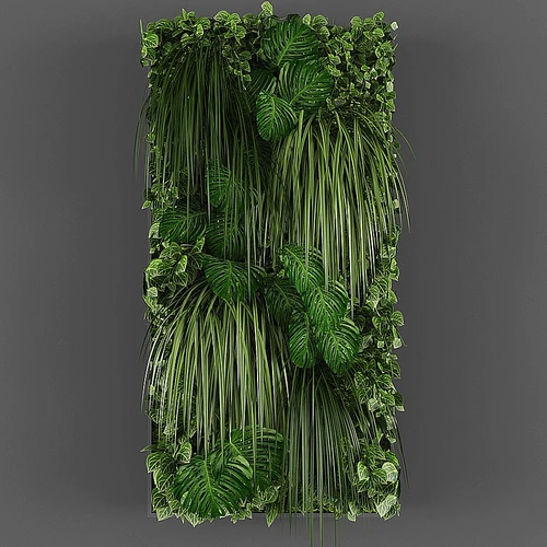 植物墙