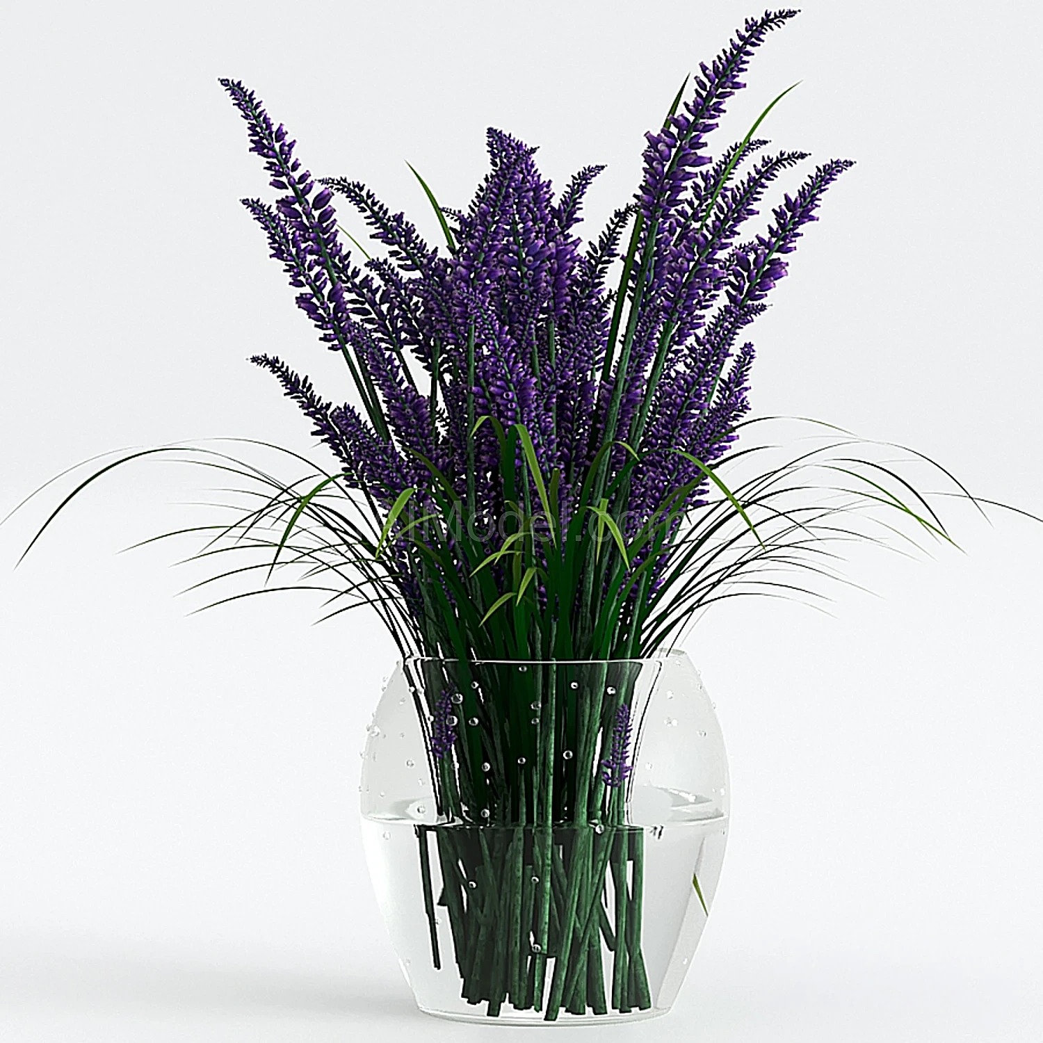 img1