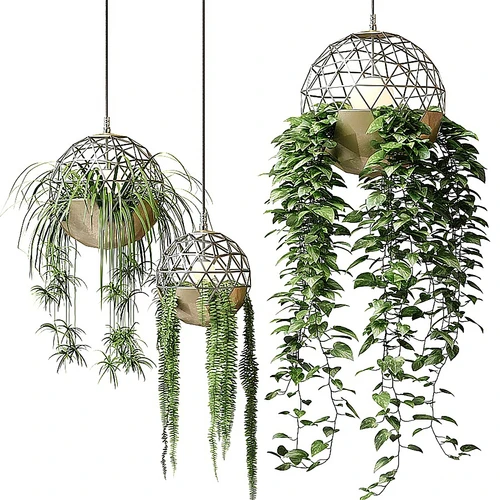 现代绿植吊篮