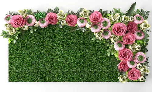 植物墙