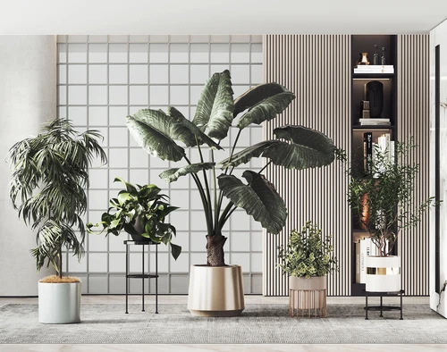 现代绿植摆件