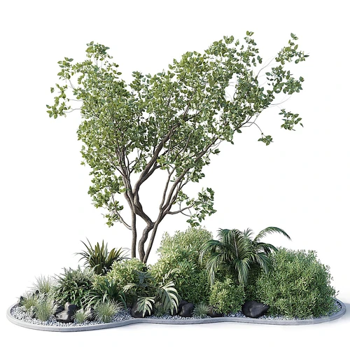 现代植物造景