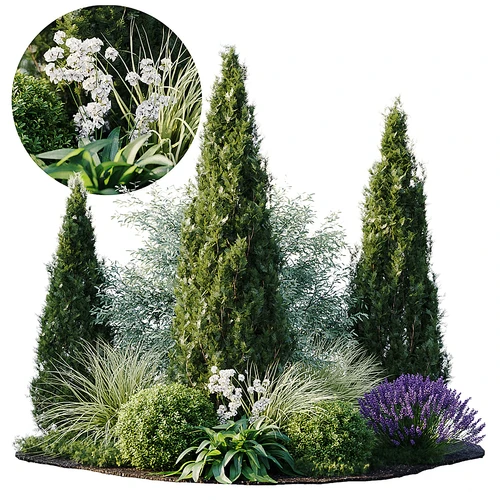 现代花丛植物堆景观