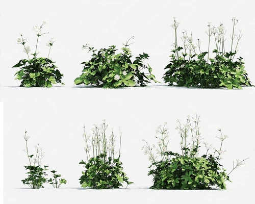 花草绿植