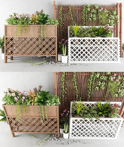 现代户外植物花架