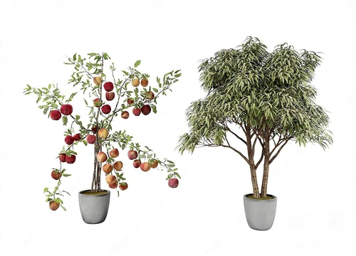 绿植盆栽摆件