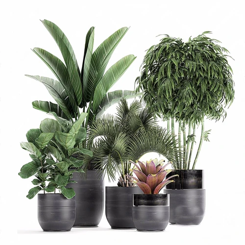 现代绿植盆栽摆件