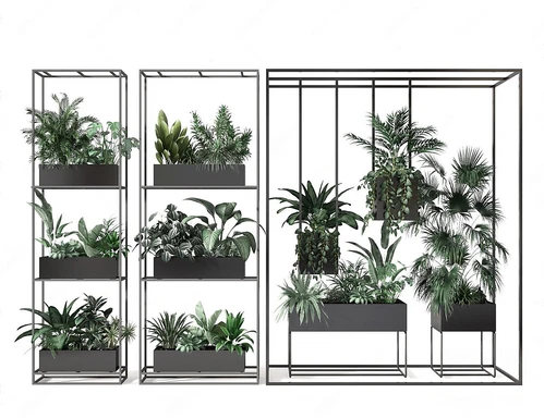 现代盆栽
