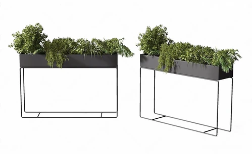 现代盆栽植物