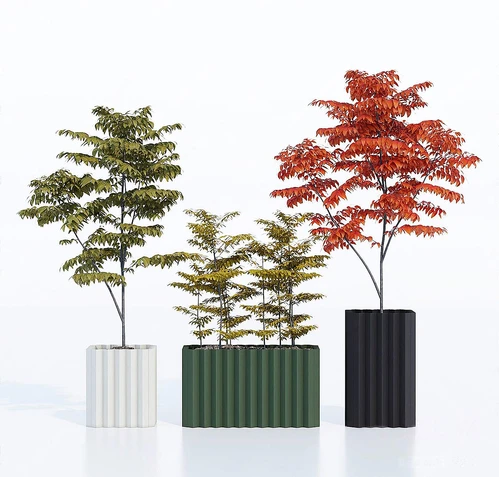 现代绿植盆栽