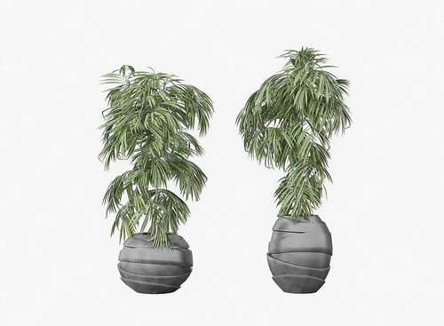 现代绿植盆栽组合