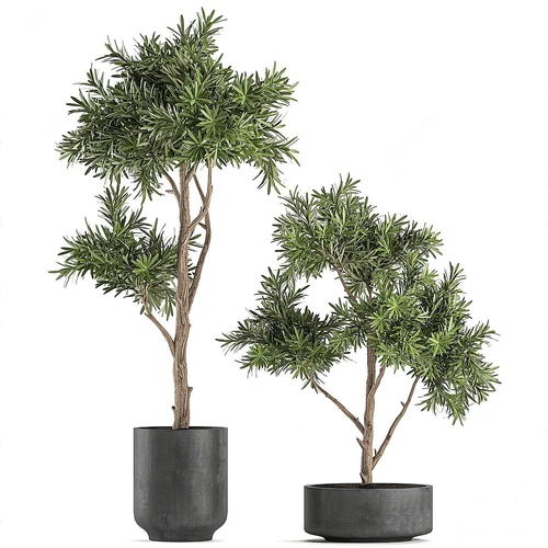 现代绿植盆栽