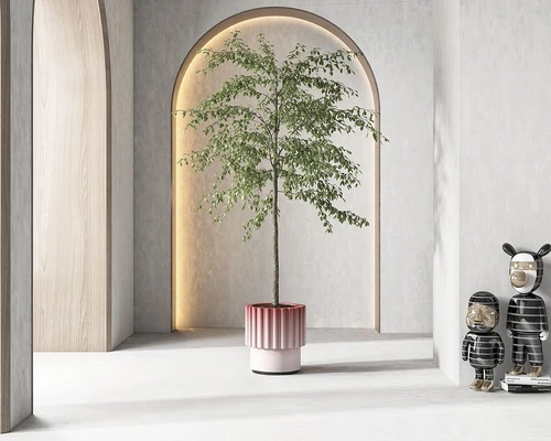 盆栽植物组合