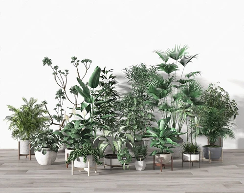现代盆栽盆景植物组合