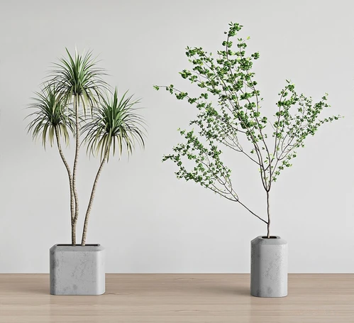 现代绿植组合